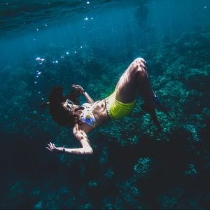 Meet your Posher, Priscilla